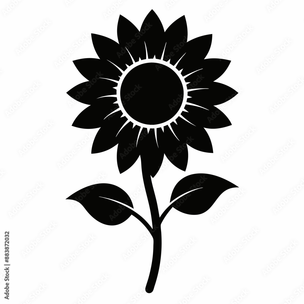 Fototapeta premium sunflower on white background