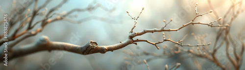 Photo Realistic Unique Branch Stands Out Among Twigs in Dreamy Background Strength and Uniqueness Symbolism Photo Stock Concept