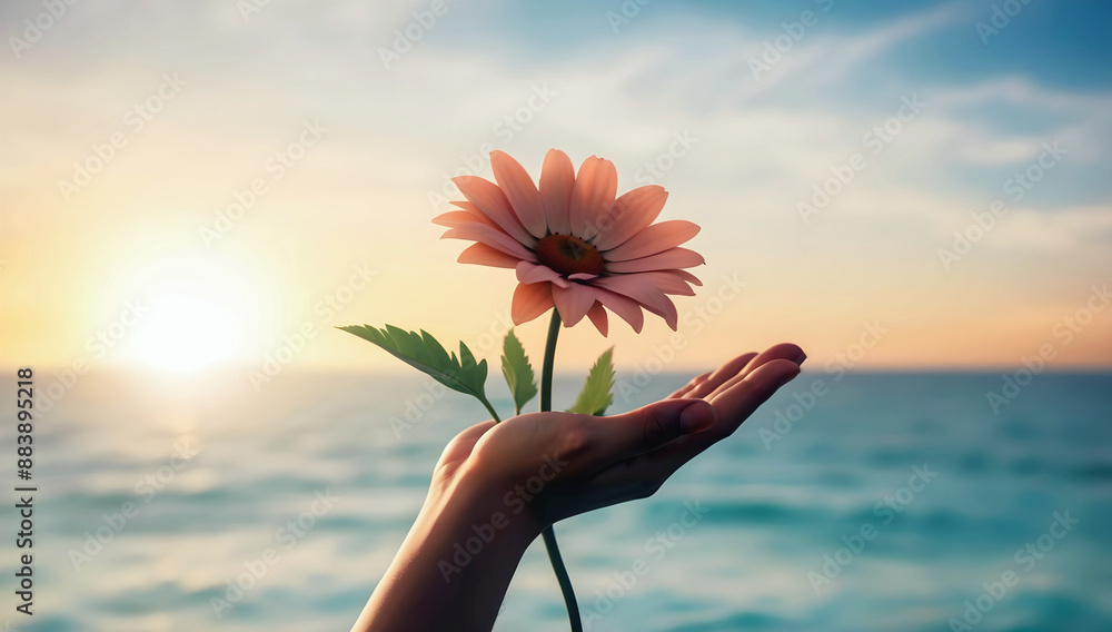 Closeup of hand holding beautiful flower at sunset, sun and sky background, love and romance, nature template, copy space area,