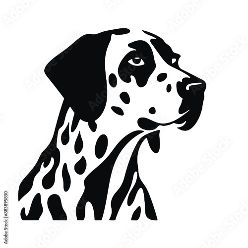 dalmatian dog isolated on white