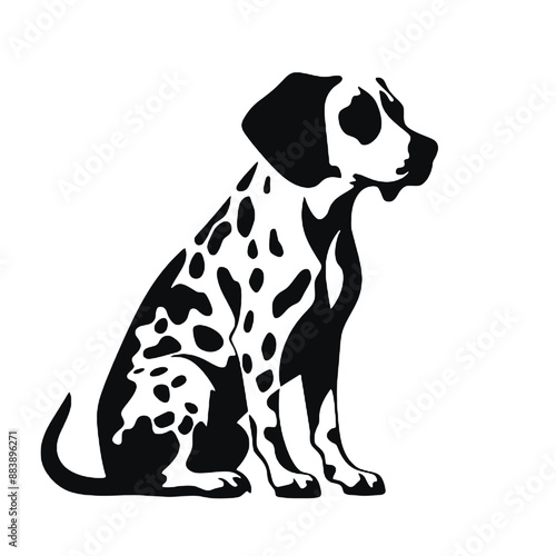 dalmatian dog isolated on white