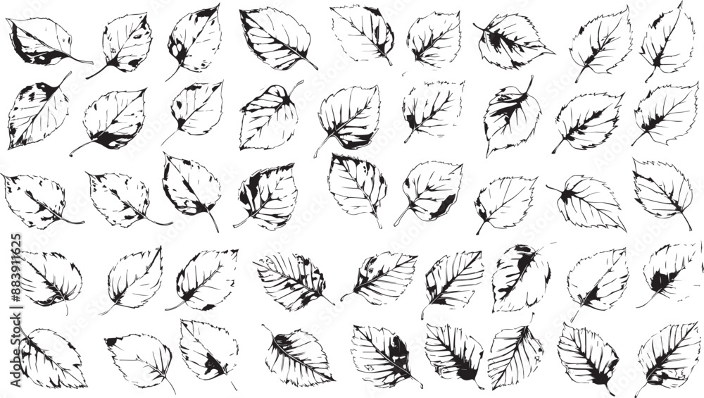 birch leaf silhouettes birch leaf silhouettes