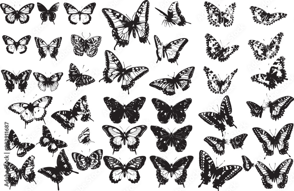 Fototapeta premium butterfly silhouettes