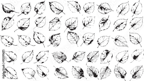 birch leaf silhouettes