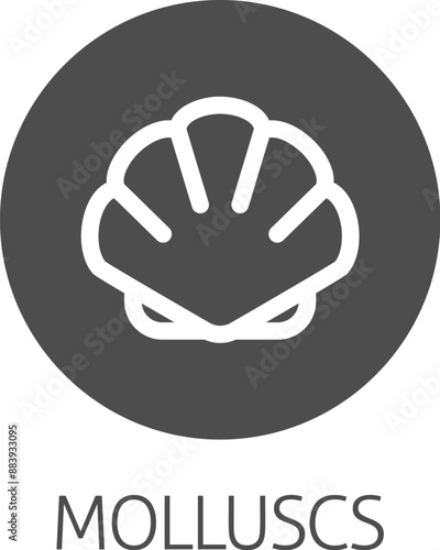 A seashell shell clam mollusc food stylised icon. Possibly an icon for the allergen or allergy or a seafood concept.