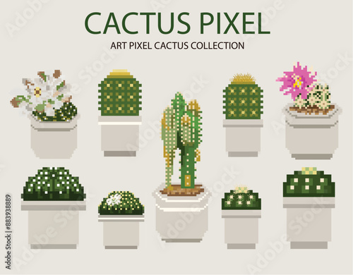 Cactus collection pixel art element. Flat design  Vector illustration on a white background.