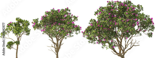 Obraz na płótnie shrubs bush rhotodendron booming hq arch viz cut out plants w salonie