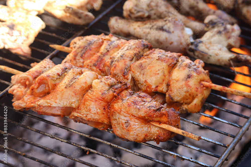 meat on the grill. Chicken kebabs or skewers on a braai. meat on the grill. Chicken kebabs or skewers on a braai.