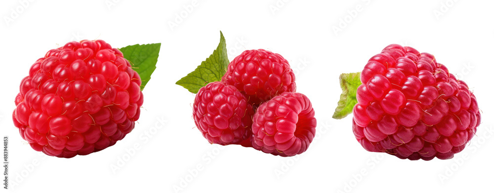 set of red raspberries juicy ripe cut out set of red raspberries juicy ripe cut out