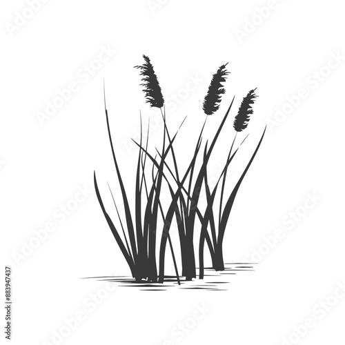 Minimalist black and white drawing of tall grass or reeds in a marsh