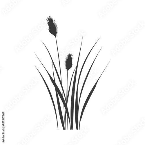 Minimalist black and white drawing of tall grass and cattails