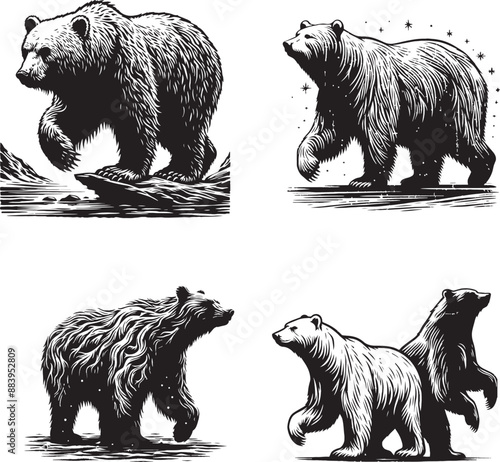 bear silhouette collection. Set of black bear silhouette. Big Bundle, isolated on transparent background, Vector Designs