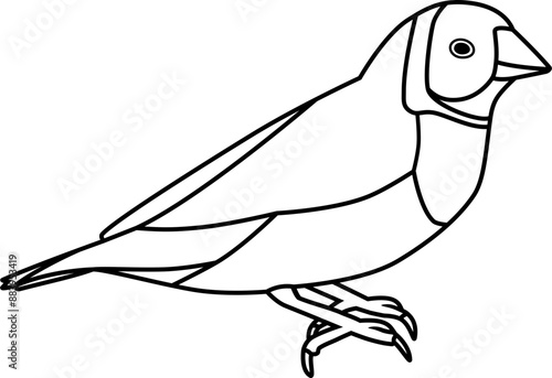 Pet finch drawn with black lines