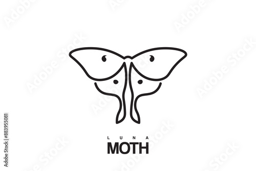 Moth butterfly logo design, moth butterfly silhouette design, minimalist moth icon