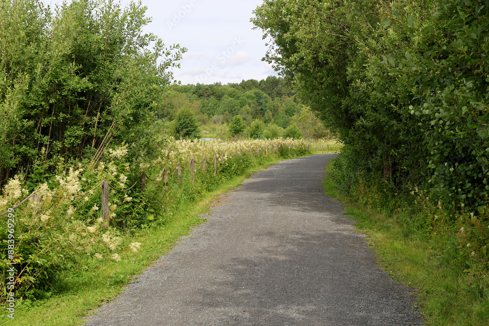 Footpath Footpath