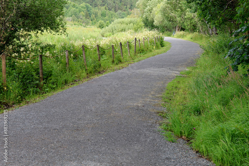 Canvas Print Footpath
