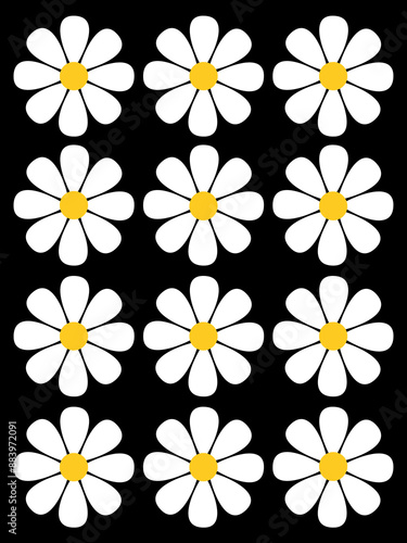 Weiße Blumen auf schwarzem Hintergrund   © Esther Hildebrandt