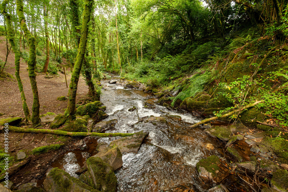 Gandaras river, Vilasantar, La Coruña, Galicia Gandaras river, Vilasantar, La Coruña, Galicia