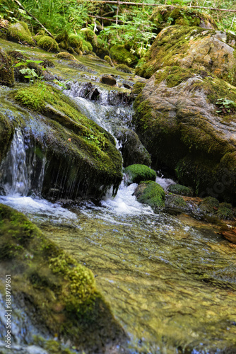 Photography of rocky river in wild with amazing green and moss details on rocks.