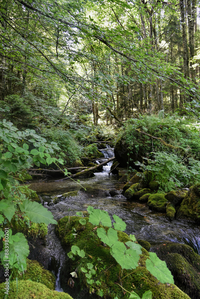 Photography of rocky river in wild with amazing green and moss details on rocks. Photography of rocky river in wild with amazing green and moss details on rocks.