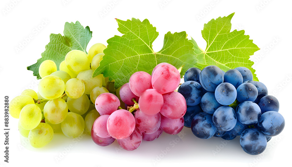 green pink and blue grapes with leaves isolated on the white background green pink and blue grapes with leaves isolated on the white background