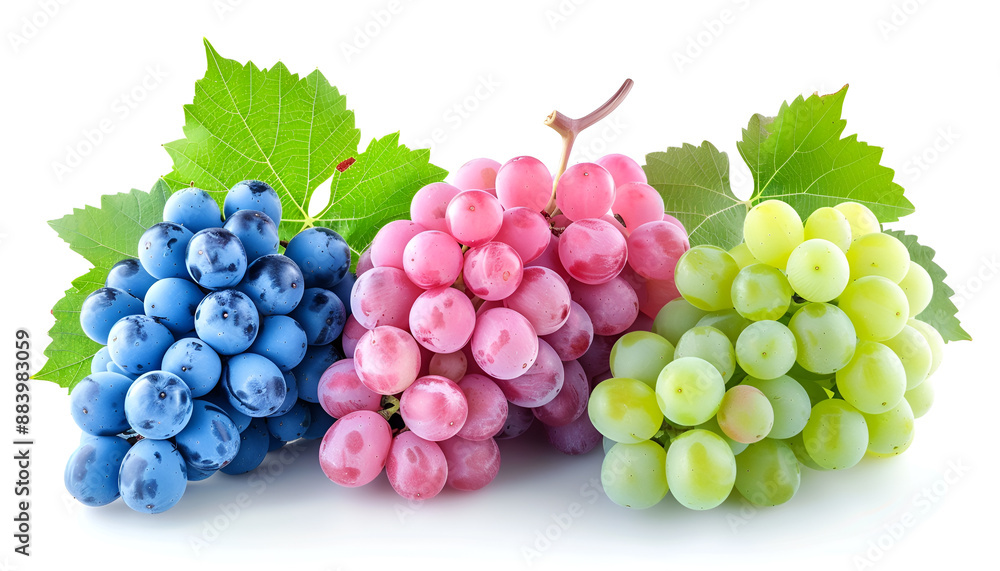 green pink and blue grapes with leaves isolated on the white background green pink and blue grapes with leaves isolated on the white background