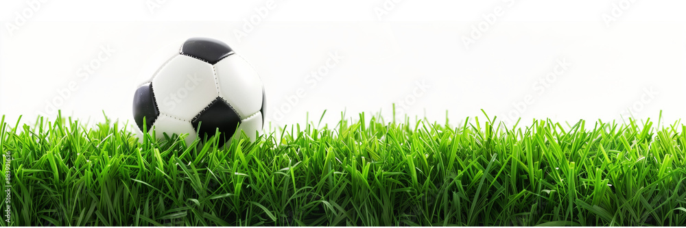 Soccer ball on green grass isolated white background Football Green Grass Concept Soccer ball on green grass isolated white background Football Green Grass Concept