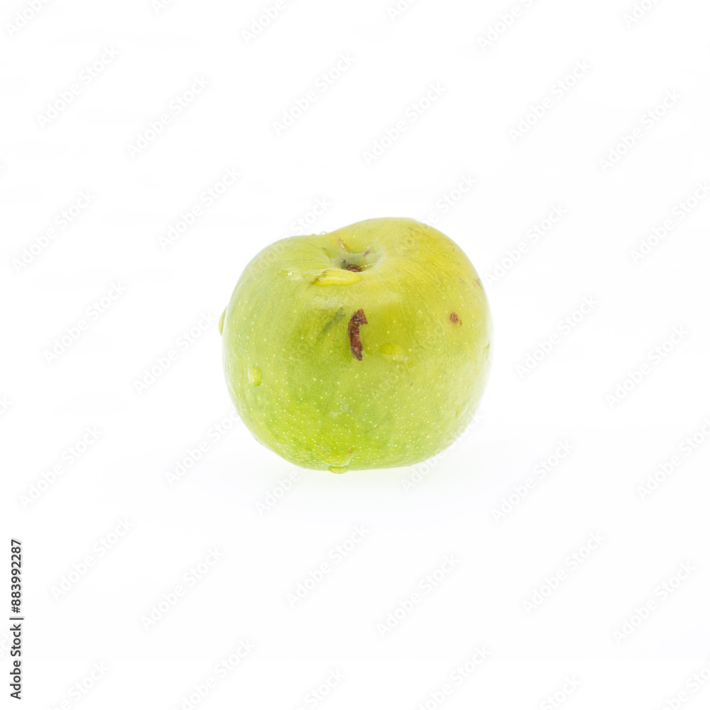 Plum is the fruit of plants in the Rosaceae family and the Prunus genus. It is a sour and delicious summer fruit. Plum is also a traditional Chinese medicine
Plum is the fruit of plants in the Rosaceae family and the Prunus genus. It is a sour and delicious summer fruit. Plum is also a traditional Chinese medicine