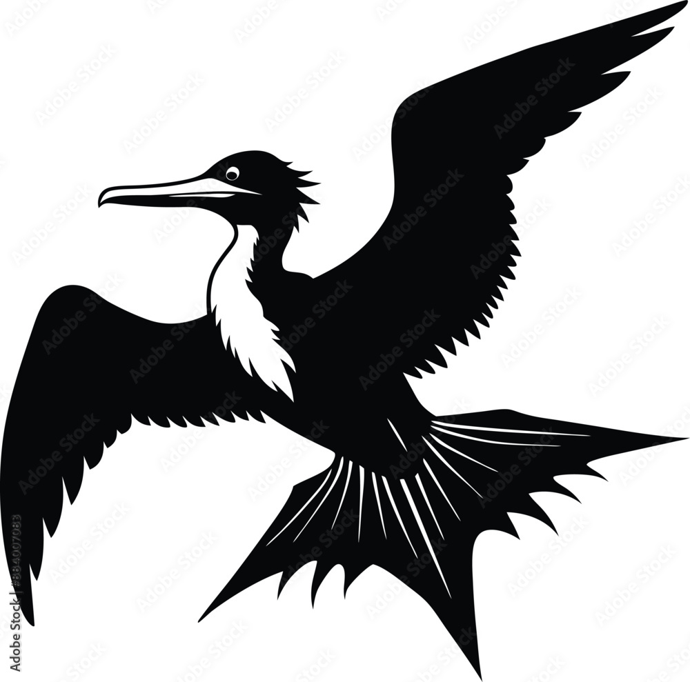 Vector silhouette image of Frigate bird Vector silhouette image of Frigate bird