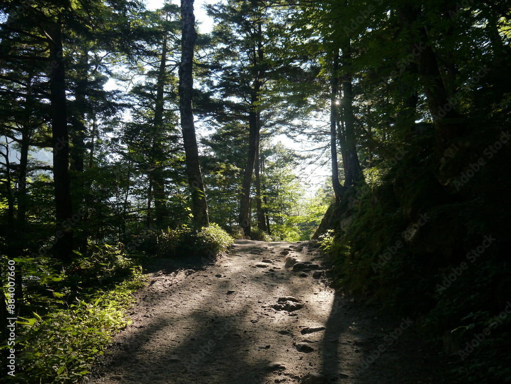 Obraz premium 北アルプス「槍ヶ岳」への登山道