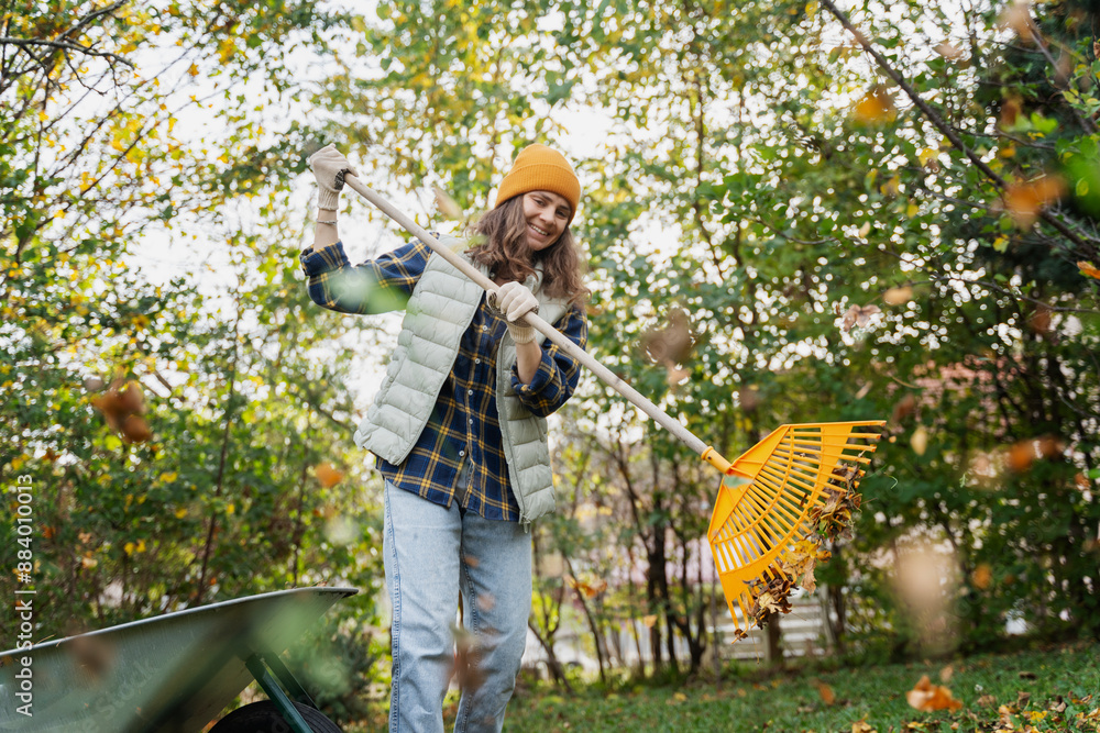 Young happy woman collecting autumn leaves in the backyard of a country house using a rake and cart