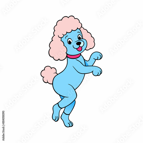 baby Poodle dancing a clean, white background.