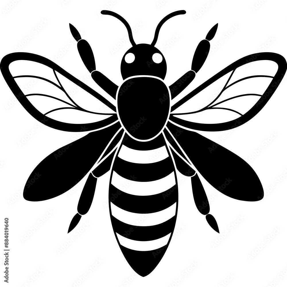 Honey Bee silhouettes and icons. Black flat color simple elegant white background Manatee animal vector and illustration. Honey Bee silhouettes and icons. Black flat color simple elegant white background Manatee animal vector and illustration.