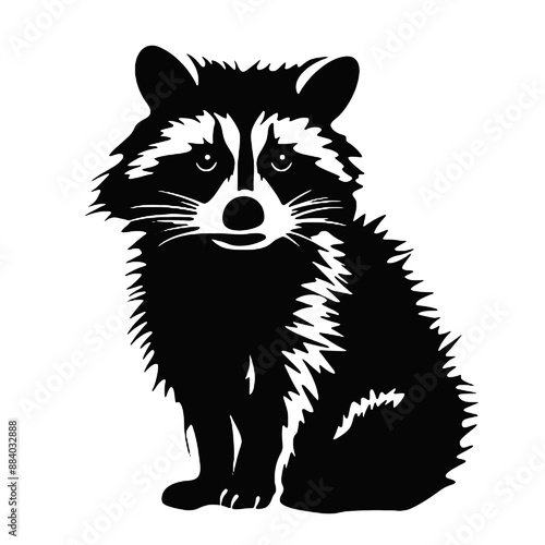 raccoon vector drawing. Isolated hand drawn, engraved style illustration