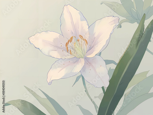 Elegant White Lily Bloom Pastel Lily Flower in Full Bloom Gorgeous White Lily