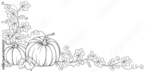 Pumpkin line art style vector illustration