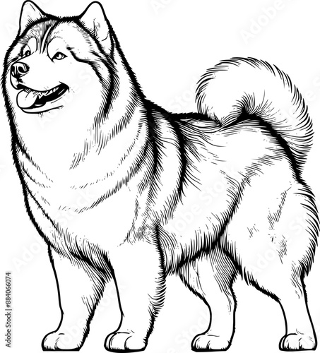 Dog vector illustration