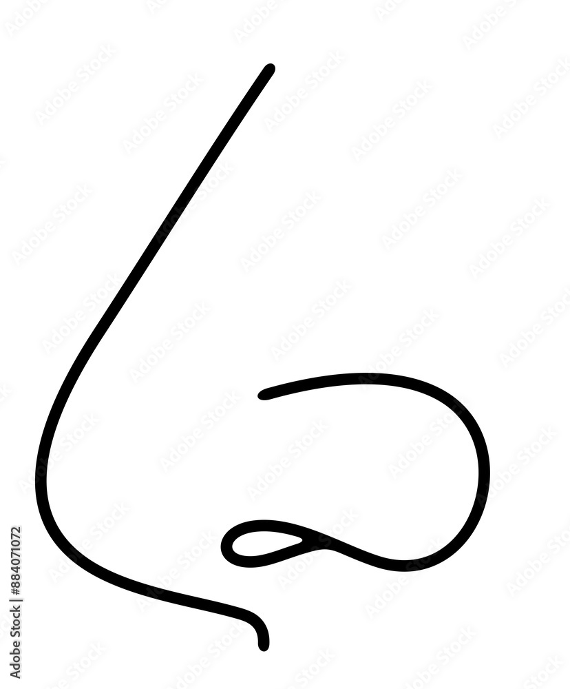 Nose, nostril, respiratory system. Sense organs, smell, sense of smell and smelling, illustration Nose, nostril, respiratory system. Sense organs, smell, sense of smell and smelling, illustration