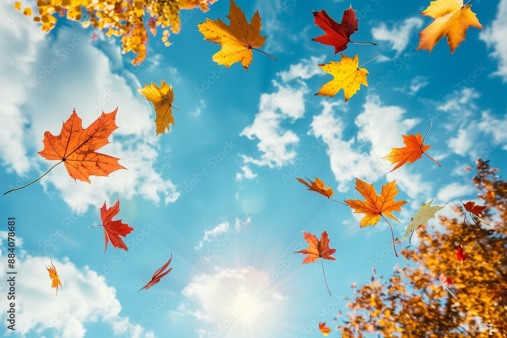colorful autumn leaves flying against blue sunny sky colorful autumn leaves flying against blue sunny sky