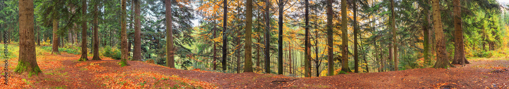 Autumn landscape, panorama, banner - view of autumn forest in mountainous area in early morning, Carpathians, Ukraine