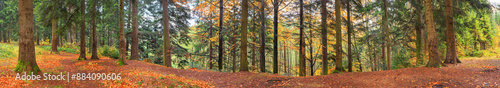 Obraz na płótnie Autumn landscape, panorama, banner - view of autumn forest in mountainous area in early morning, Carpathians, Ukraine w salonie