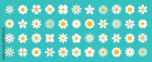 white daisy chamomile set. Cute round flower plant nature collection. Growing concept. Spring summer decoration element. Flat symbol shape. Green Background. Isolated. Radial symmetry wild flowers