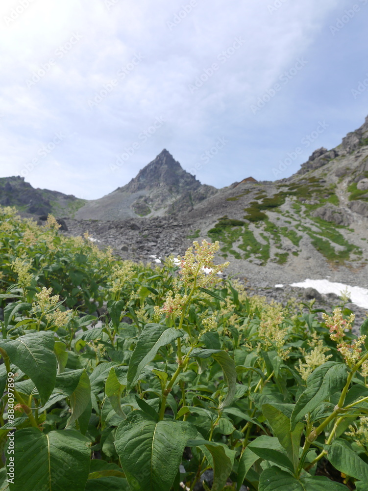 Fototapeta premium 北アルプスの名峰「槍ヶ岳」