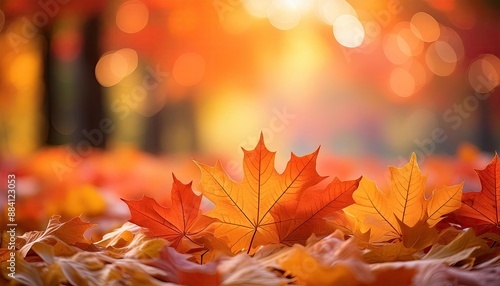 Fall background, leaf copy space background, A vibrant autumn background featuring a gradient of warm orange