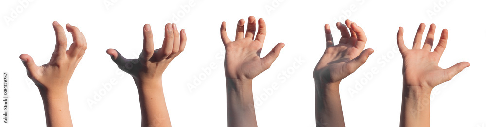 Grabbing, holding, catching and taking gesture set. Kids hands with something, holding product isolated on white background.., transparent PNG Grabbing, holding, catching and taking gesture set. Kids hands with something, holding product isolated on white background.., transparent PNG