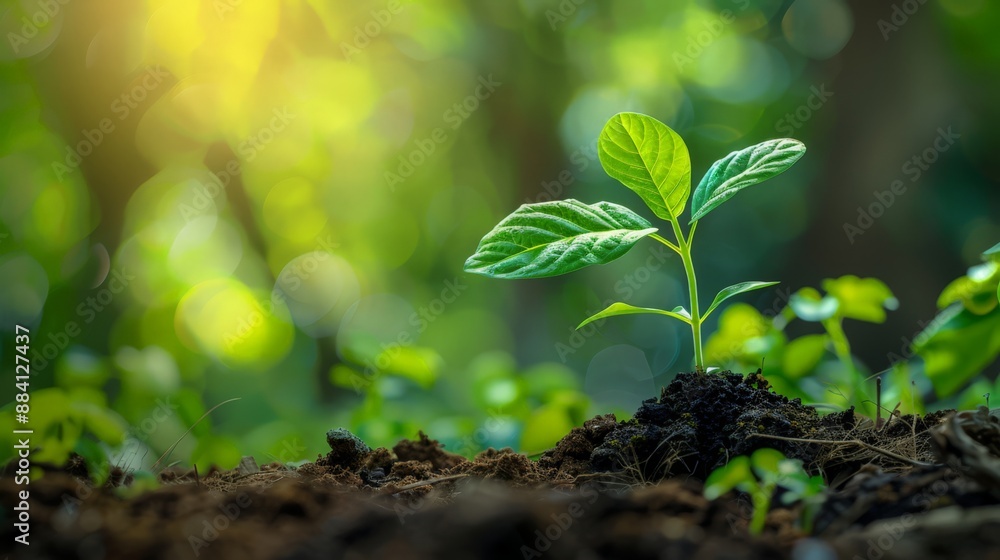 Implement long-term investment strategies that focus on sustainable growth and income generation. Implement long-term investment strategies that focus on sustainable growth and income generation.