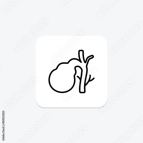 Gallbladder line icon , vector, pixel perfect, illustrator file