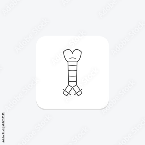 Trachea thinline icon , vector, pixel perfect, illustrator file