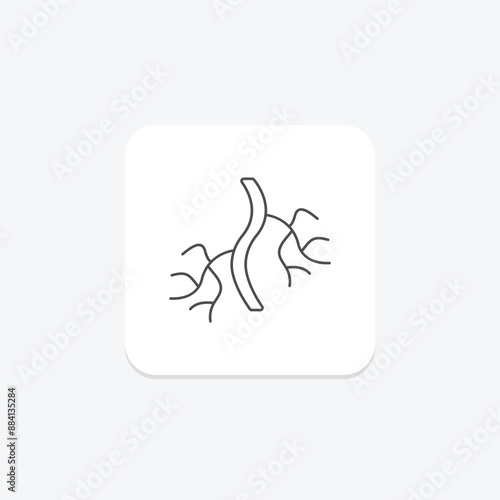 Blood Vessels thinline icon , vector, pixel perfect, illustrator file
