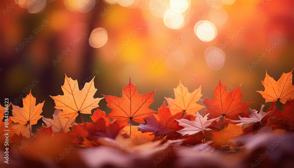 Fall background, leaf copy space background, A vibrant autumn background featuring a gradient of warm orange Fall background, leaf copy space background, A vibrant autumn background featuring a gradient of warm orange